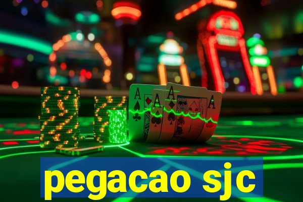 pegacao sjc